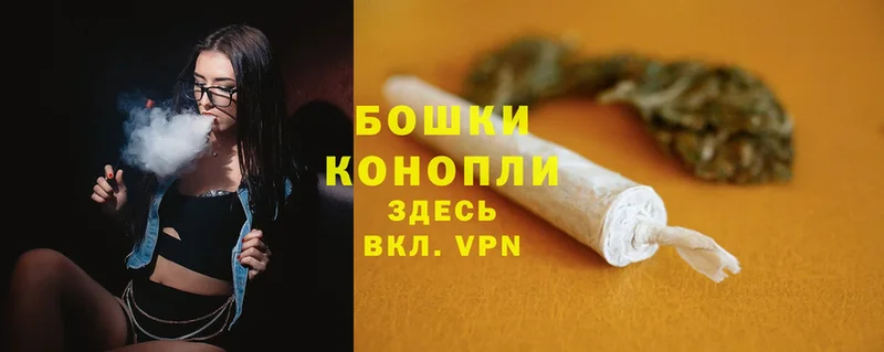 Бошки Шишки White Widow  Западная Двина 